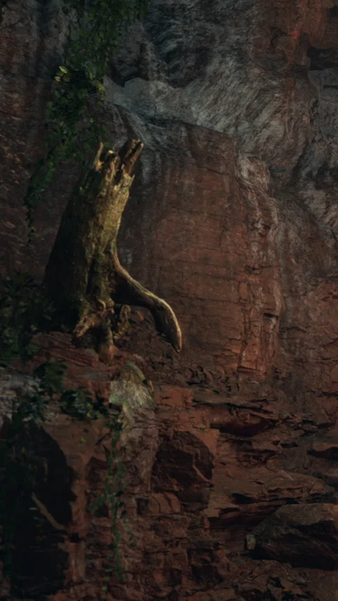 Tree stump on rock wall with plants in cave during daylight Stock Footage 339508368