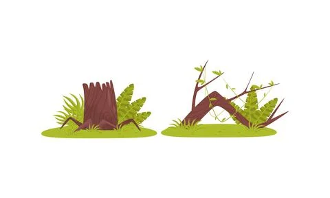 Tree Stump with Roots and Log with Liana as Tropical Jungle Landscape Elements Stock Illustration