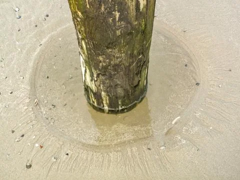 A tree stump is sitting in a circle of water Stock Photos