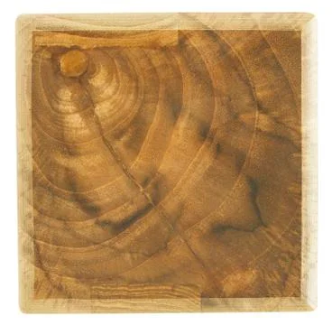 Tree stump texture or background Stock Photos