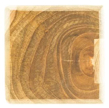 Tree stump texture or background Stock Photos