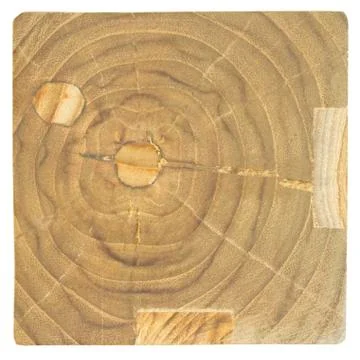 Tree stump texture or background Stock Photos