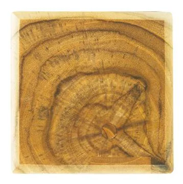 Tree stump texture or background Stock Photos