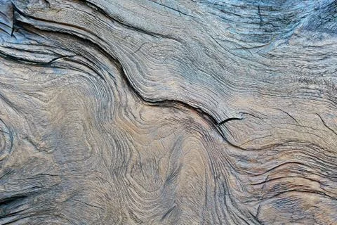 Tree Stump Textures Stock Photos