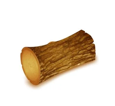 Tree stump timber. Vector Illustrazione stock