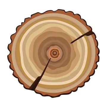 Tree stump top view Stock Illustration