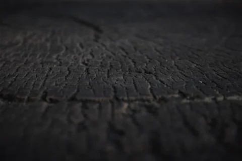 Tree Stump Wood texture Stock Photos