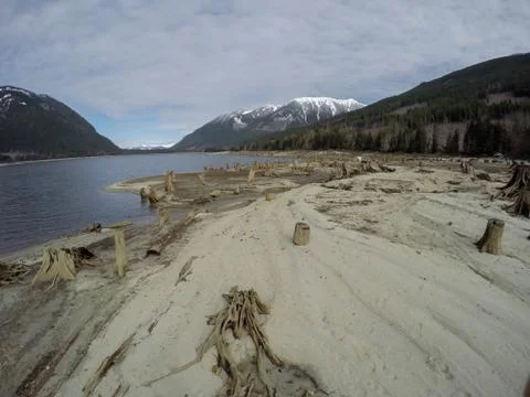 Tree stumps after deforestation located around lake in Canada on dark and moo Stock Photos