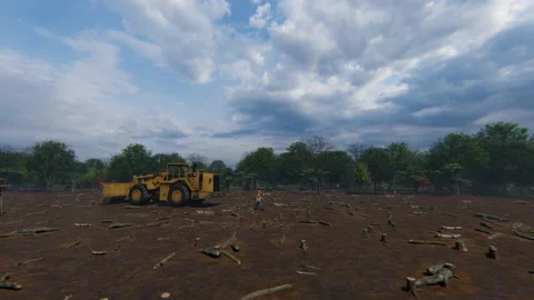 Tree stumps and forest beeing cut down, man at work, 4K Stock Footage 139611623