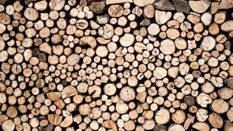 Tree stumps background Stock Photos