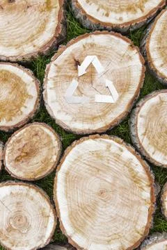 Tree stumps on the grass Stock Photos