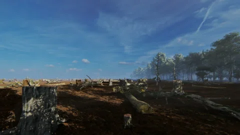 Tree stumps left behind after deforestation, 4K 스톡 동영상 141129357
