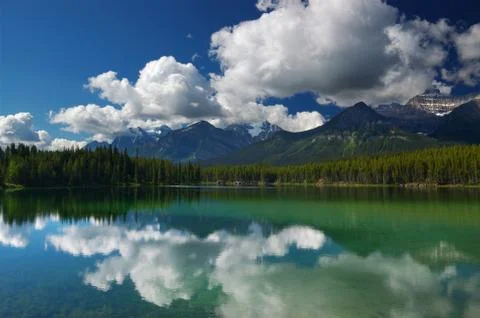 Tree summer blue cloud erosion green ice melt Foto stock