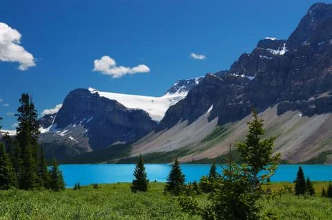 Tree summer blue cloud glacier green ice meadow Foto stock