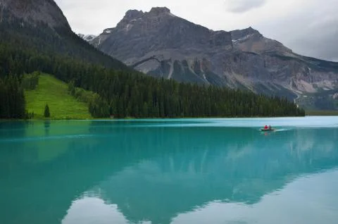 Tree summer cloud emerald glacier high melt park Foto stock