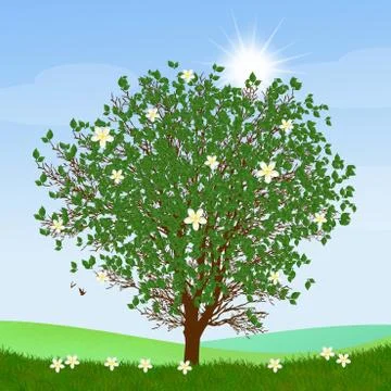 Tree in summer Stock Illustration