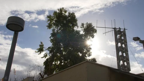 Tree with sun backlight Stock Footage 86611608