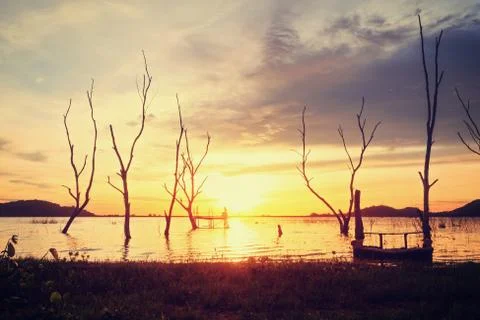 The tree , sun, cloud and water  to be landscape. the mountain are background Foto stock
