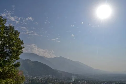 Tree Sun 写真素材