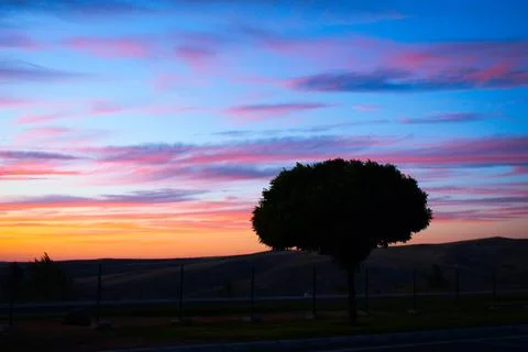A tree at sunset. Dramatic clouds at sunset. Stock Photos