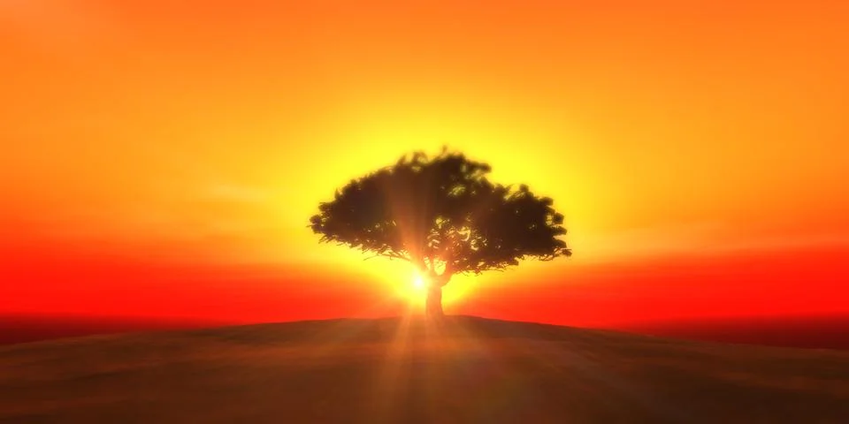 Tree sunset in field Stock Illustration