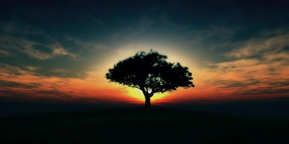 Tree sunset in field Stock Illustration