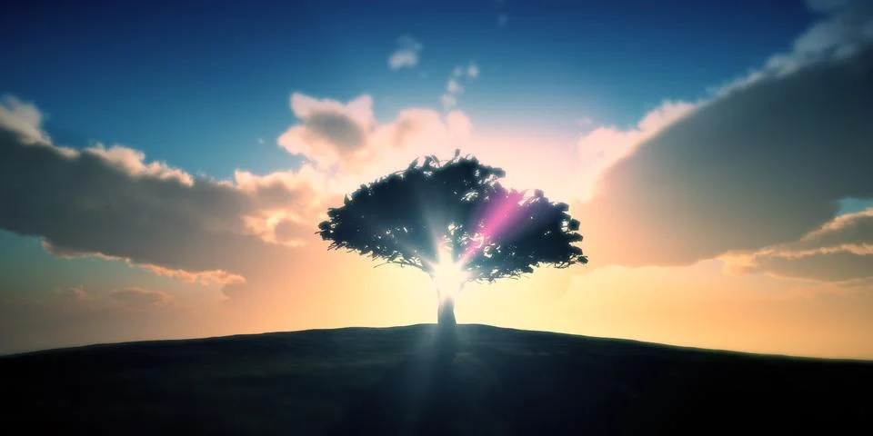 Tree sunset in field Illustrazione stock