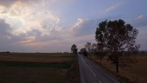 Tree at Sunset on Field Open Space Drone Aerial Stockbeeldmateriaal 128312674