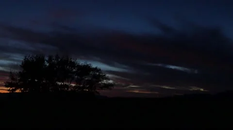Tree at sunset Stock Footage 43312415