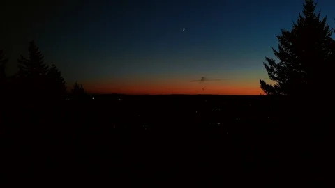 Tree Sunset Video stock 117097557