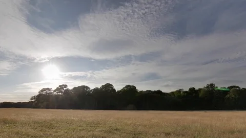 Tree Sunset With High Pulsing Clouds Timelapse Day To Night Stock Footage 88664348