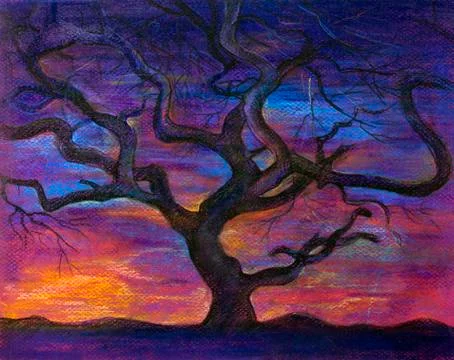 Tree at sunset Stock Illustration