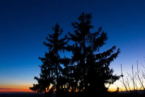 Tree at sunset Stock Photos