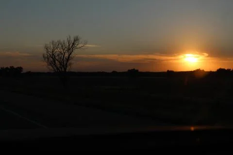 Tree in the Sunset Foto stock