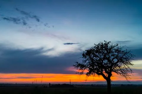 Tree at sunset Stock Photos