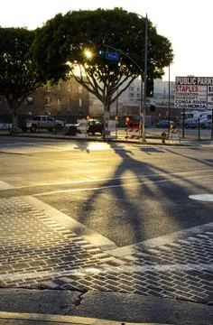 Tree in the sunset Stock Photos