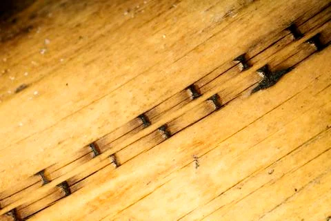 Tree surface macro abstract background 50,6 Megapixels 6480 with 4320 Pixels 스톡 사진