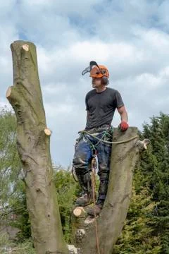 Tree Surgeon Resting Foto stock