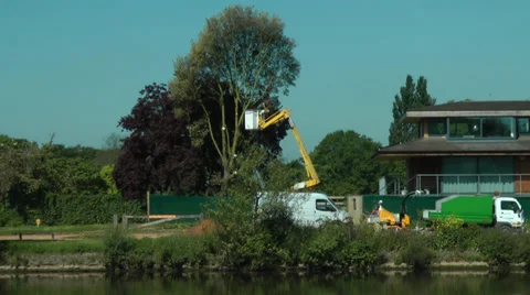 TREE SURGEON TIME-LAPSE Stock Footage 38220154