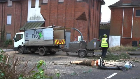 Tree surgeons carrying out emergency work after a extreme storm 動画素材 170656901