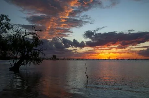 Tree surrounded by water with orange sunset over lake Foto stock