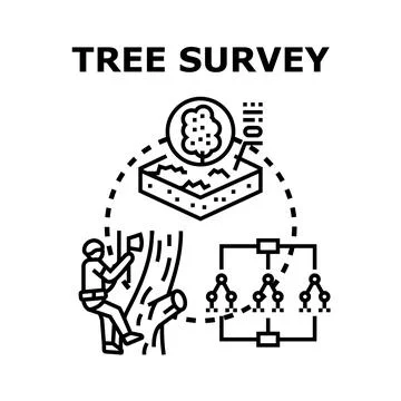 Tree survey measuring deforestation environmental assessment process Stock Illustration