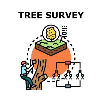 Tree survey measuring deforestation environmental assessment process Ilustración de archivo