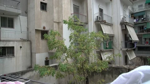 Tree surviving surroounded by building Stock-Footage 145812791