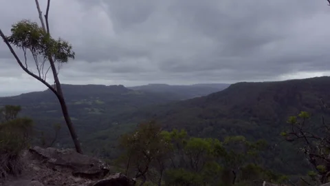 Tree Swaying at Dusk Overlooking Valley on NSW South Coast Stock Footage 329364834