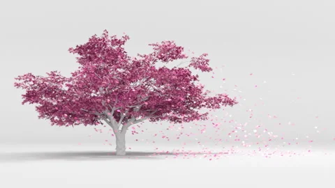 Tree swaying in the wind Stock Footage 303137159