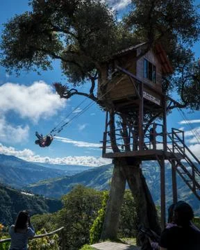 Tree Swing Above the Clouds Stock Photos
