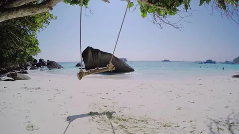 Tree swing on a chill out beach Vidéo 233007111