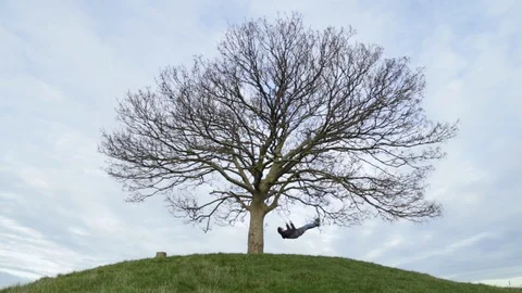 Tree swing Stock Footage 120913279