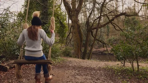 Tree Swing Vídeo Stock 127023490